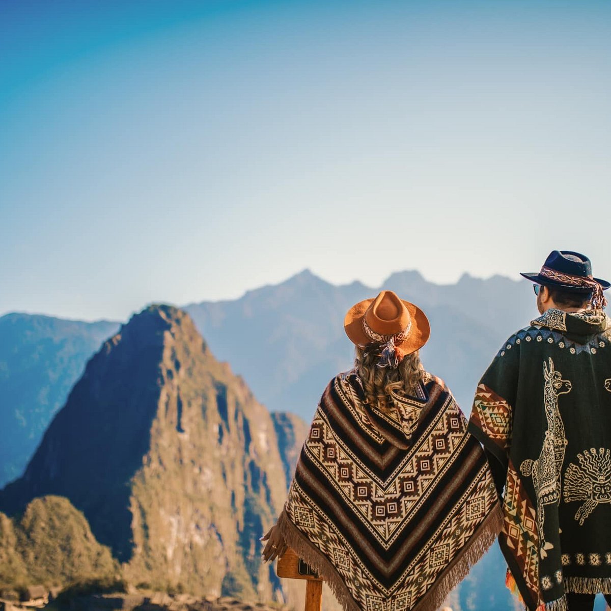 Machu Picchu Andean