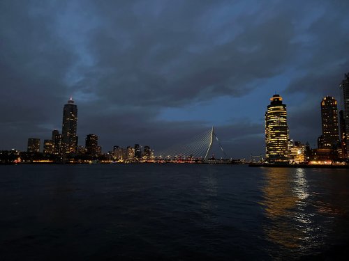 Rotterdam review images