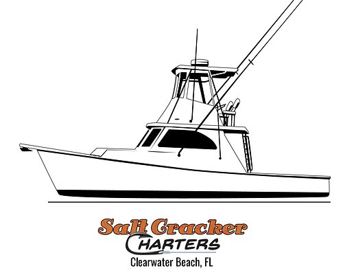 THE 10 BEST Clearwater Fishing Charters & Tours (Updated 2024)