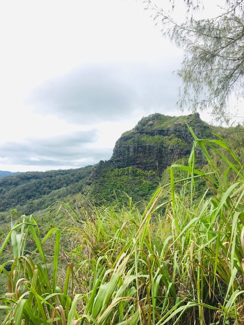 Kauai review images