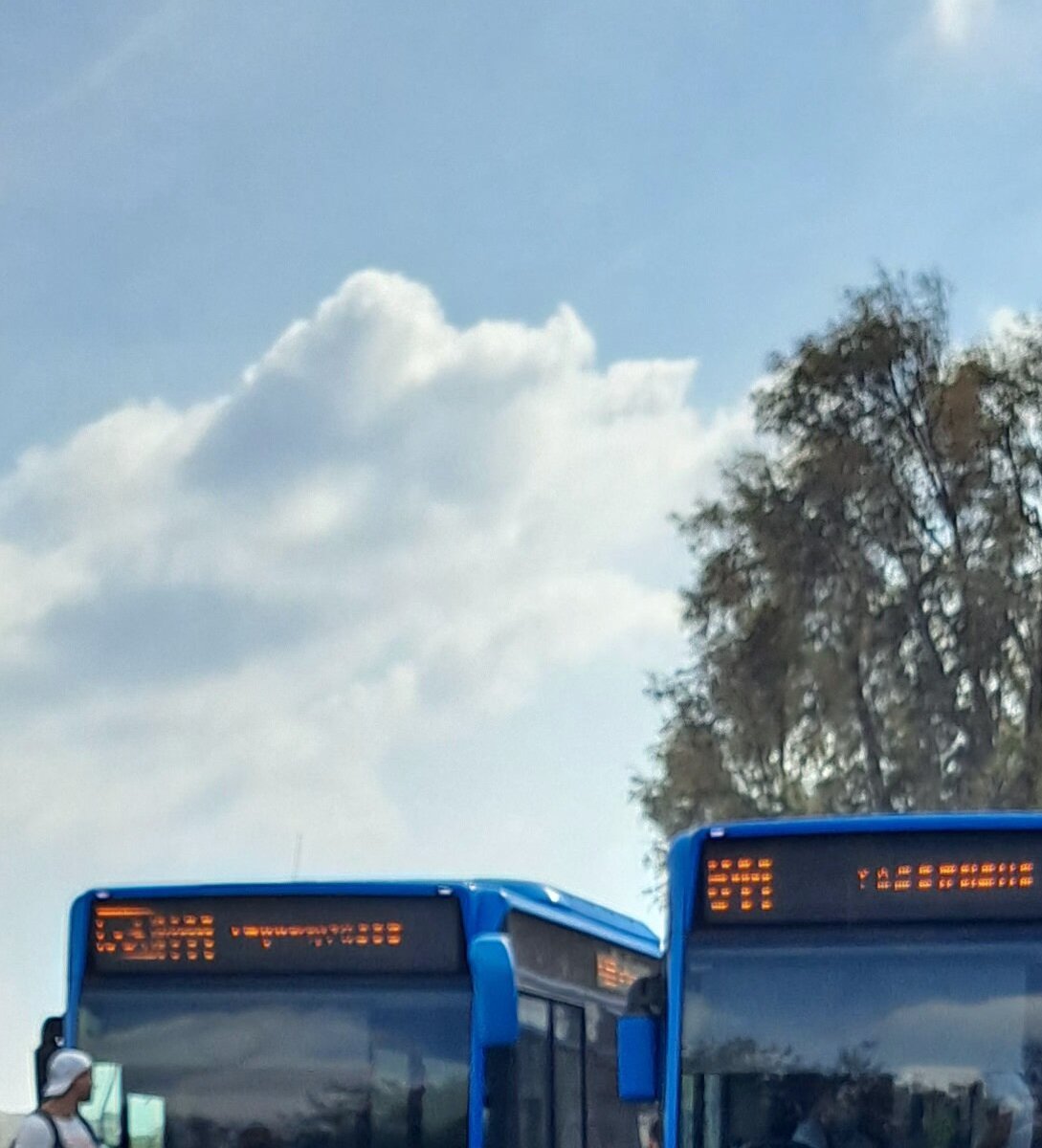 Paphos Transport Organisation (OSYPA), Пафос: лучшие советы перед  посещением - Tripadvisor