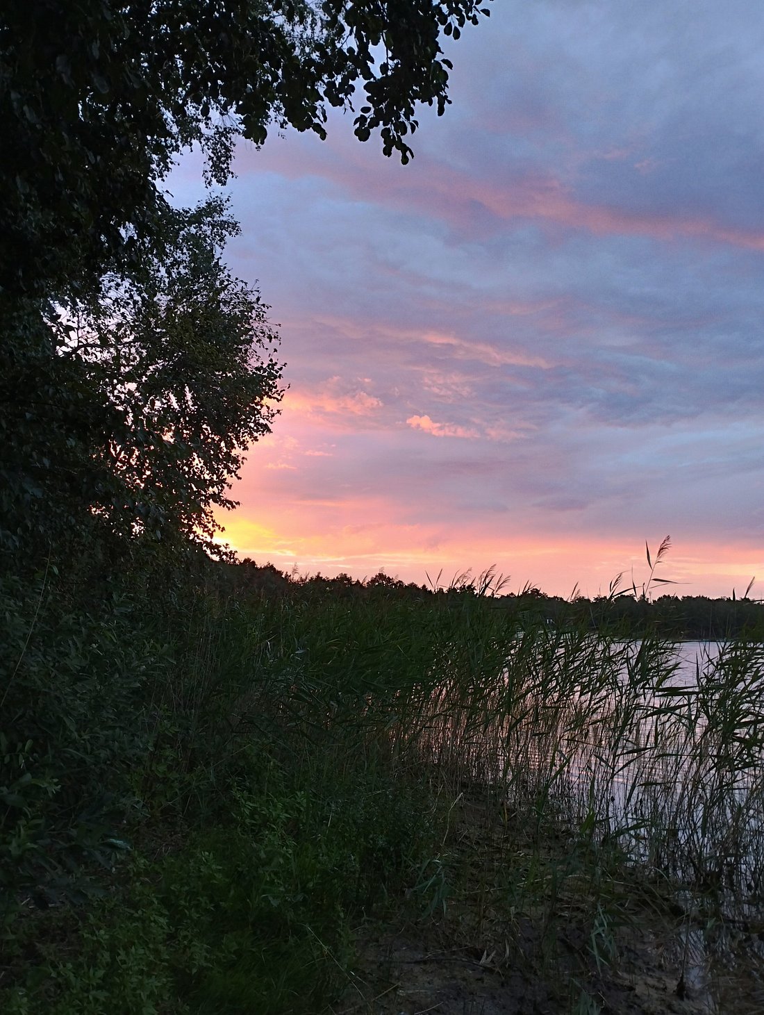 САНАТОРИЙ АЛЕСЯ (Завышье) - отзывы и фото - Tripadvisor