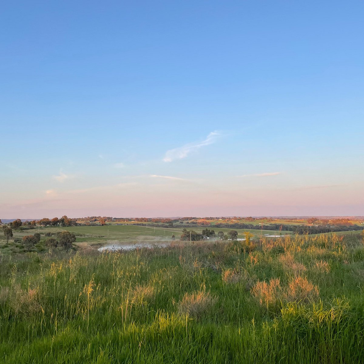 Lions Lookout Young Lions Lookout Yorumlar Tripadvisor lions-lookout-young-lions-lookout-yorumlar-tripadvisor