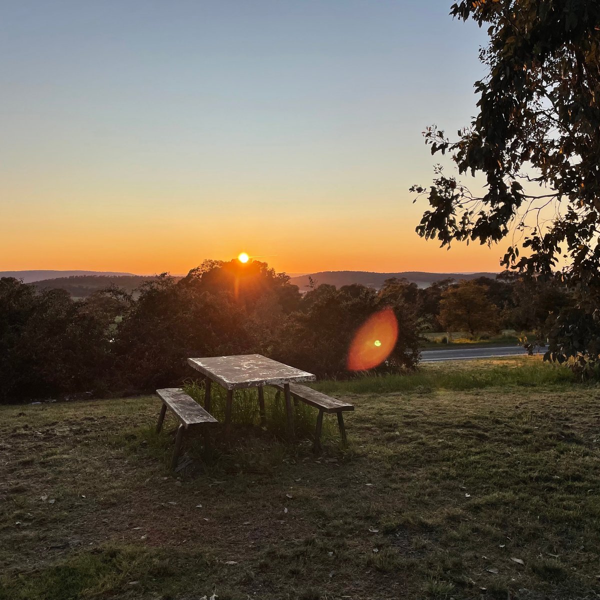 lions-lookout-young-tripadvisor