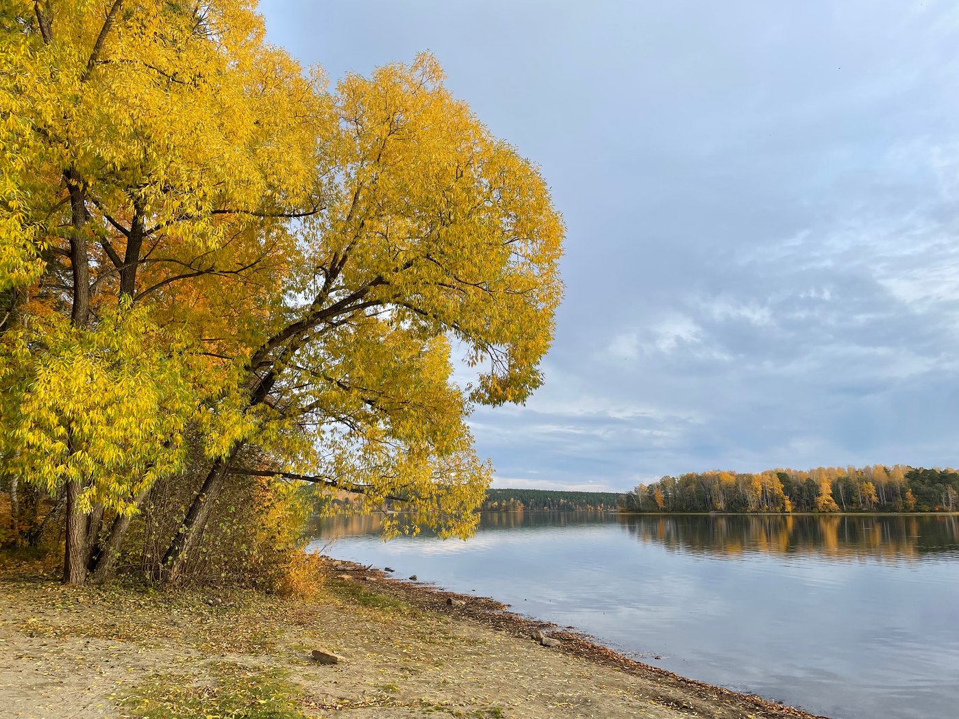 Еловое чебаркуль фото