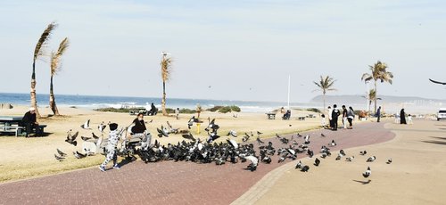 Durban review images