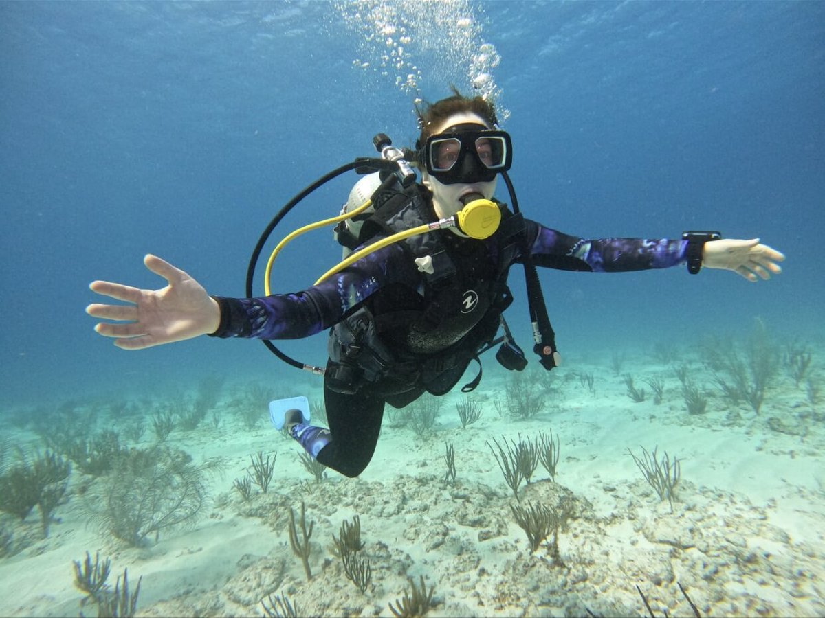 scuba diving in cancun reviews