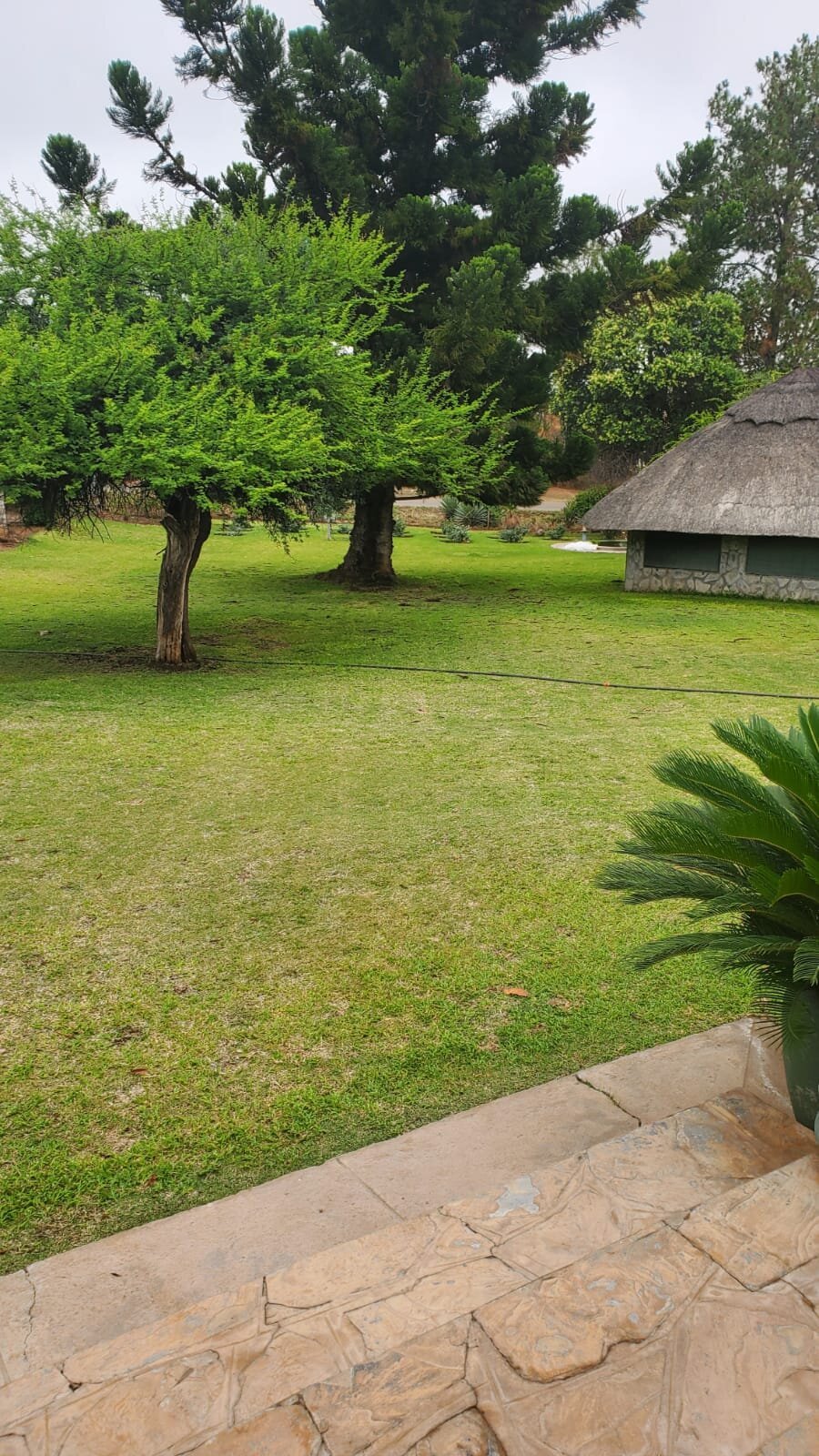 VILLA THABISO - Prices & B&B Reviews (Bulawayo, Zimbabwe)