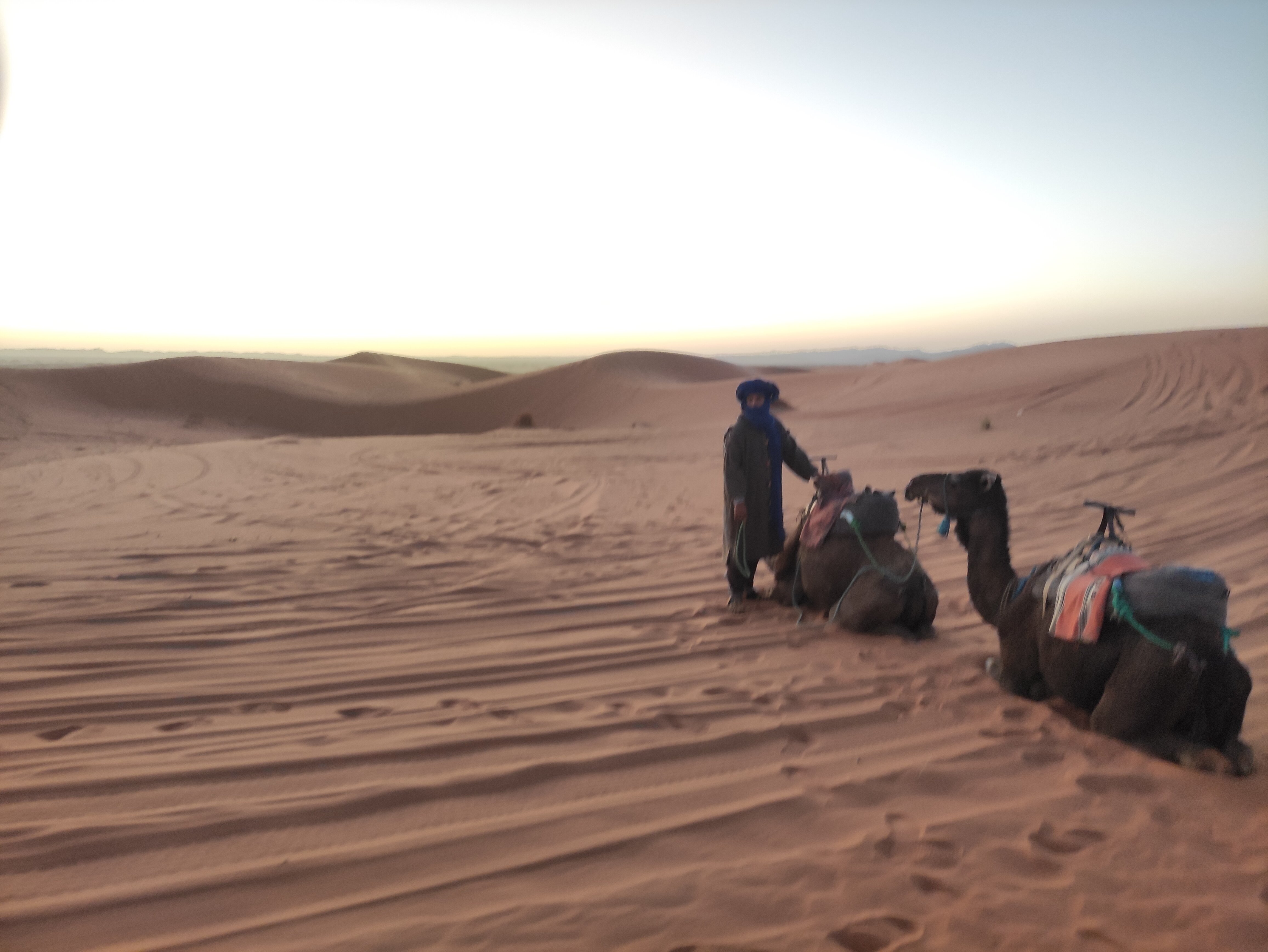 Excursion To The Dunes (Merzouga) - 2022 Alles Wat U Moet Weten VOORDAT ...