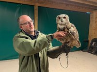 ARD BIRDS OF PREY (Rosliston) - All You Need to Know BEFORE You Go