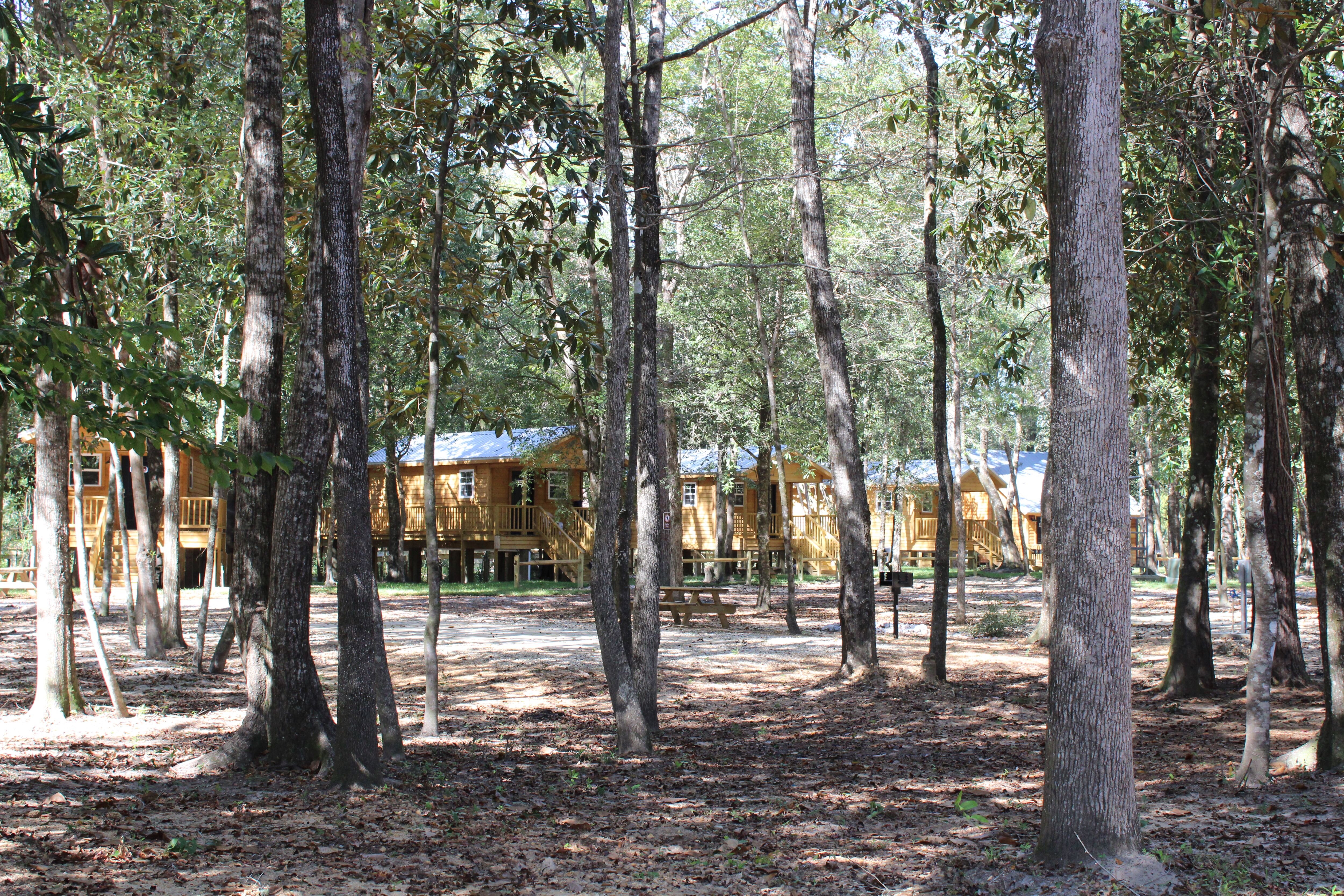 RED CREEK CABINS AND RV PARK Updated 2024 Campground Reviews   View From The Rv Area 