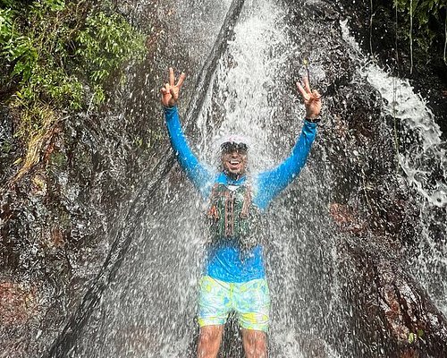 el yunque tours tripadvisor