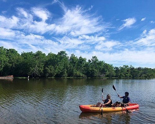 kayak bayou tours new orleans