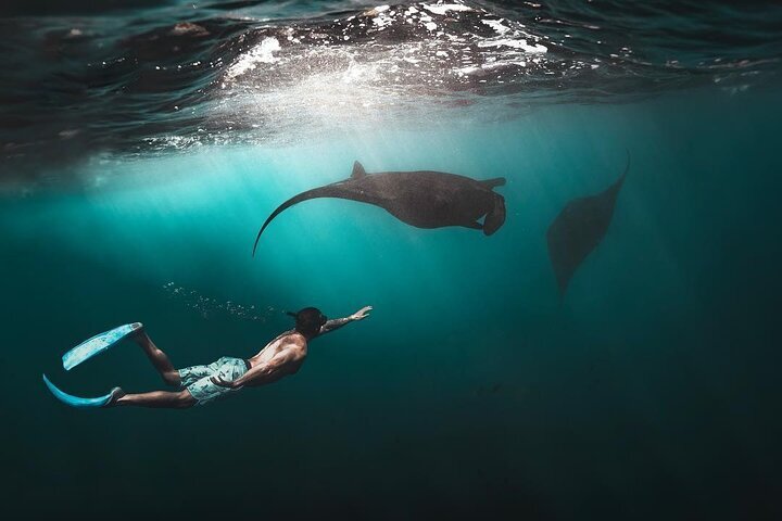 2023 Snorkeling Manta Ray In Nusa Lembongan