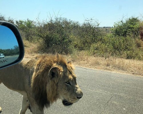 safari tour mozambique