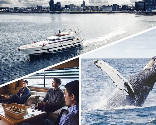 yacht in iceland