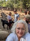 Animal Aid Unlimited (Udaipur) - All You Need to Know BEFORE You Go