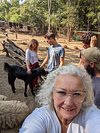 Animal Aid Unlimited (Udaipur) - All You Need to Know BEFORE You Go Animal Aid Unlimited (Udaipur) - All You Need to Know BEFORE You Go