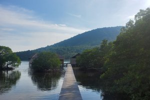 Viajante