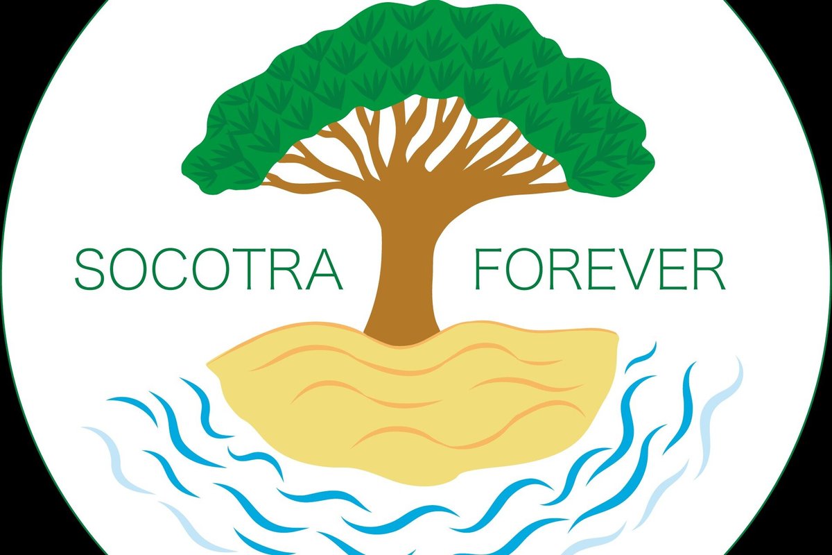 socotra-forever-hadiboh-updated-december-2022-top-tips-before-you