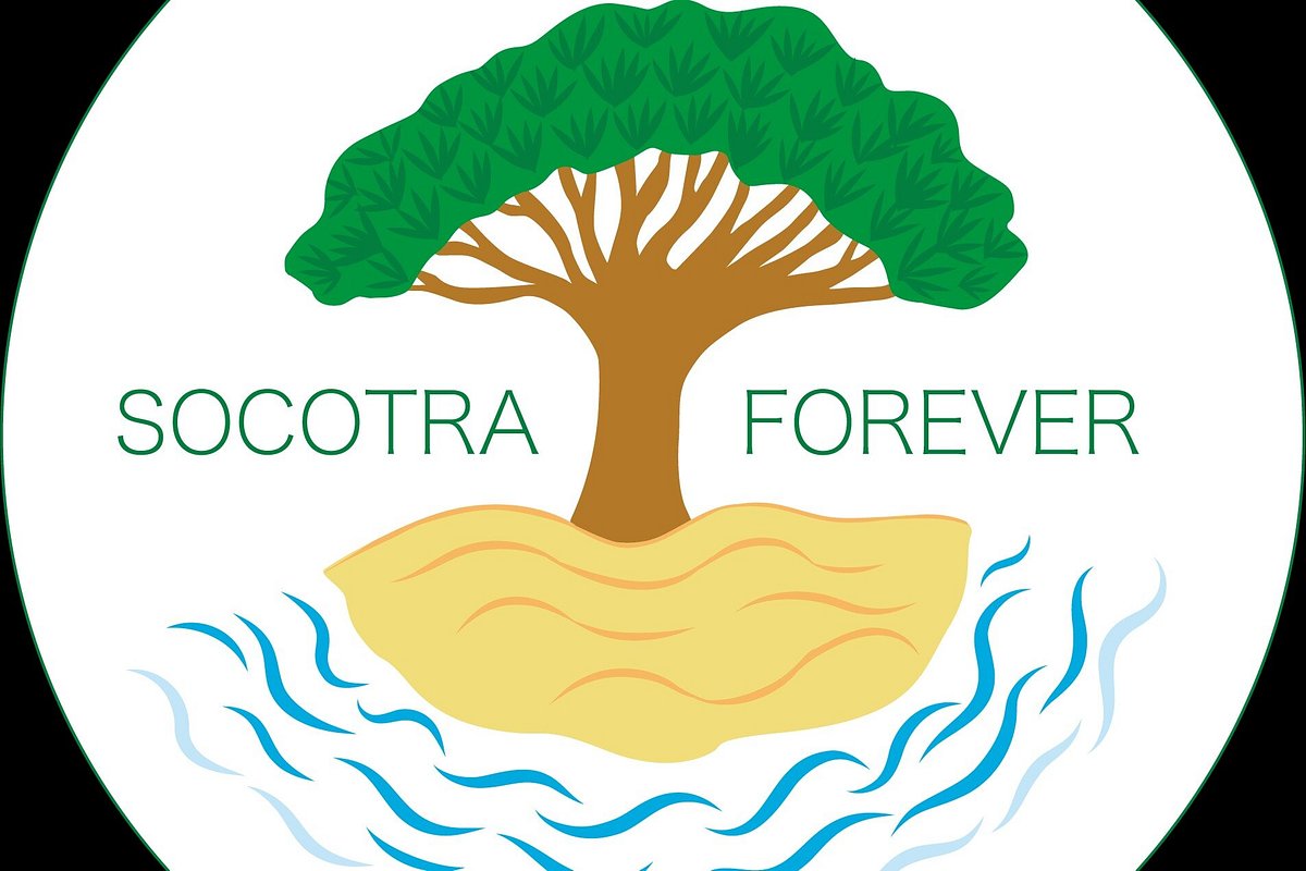 SOCOTRA FOREVER Hadiboh UPDATED December 2022 Top Tips Before You socotra-forever-hadiboh-updated-december-2022-top-tips-before-you
