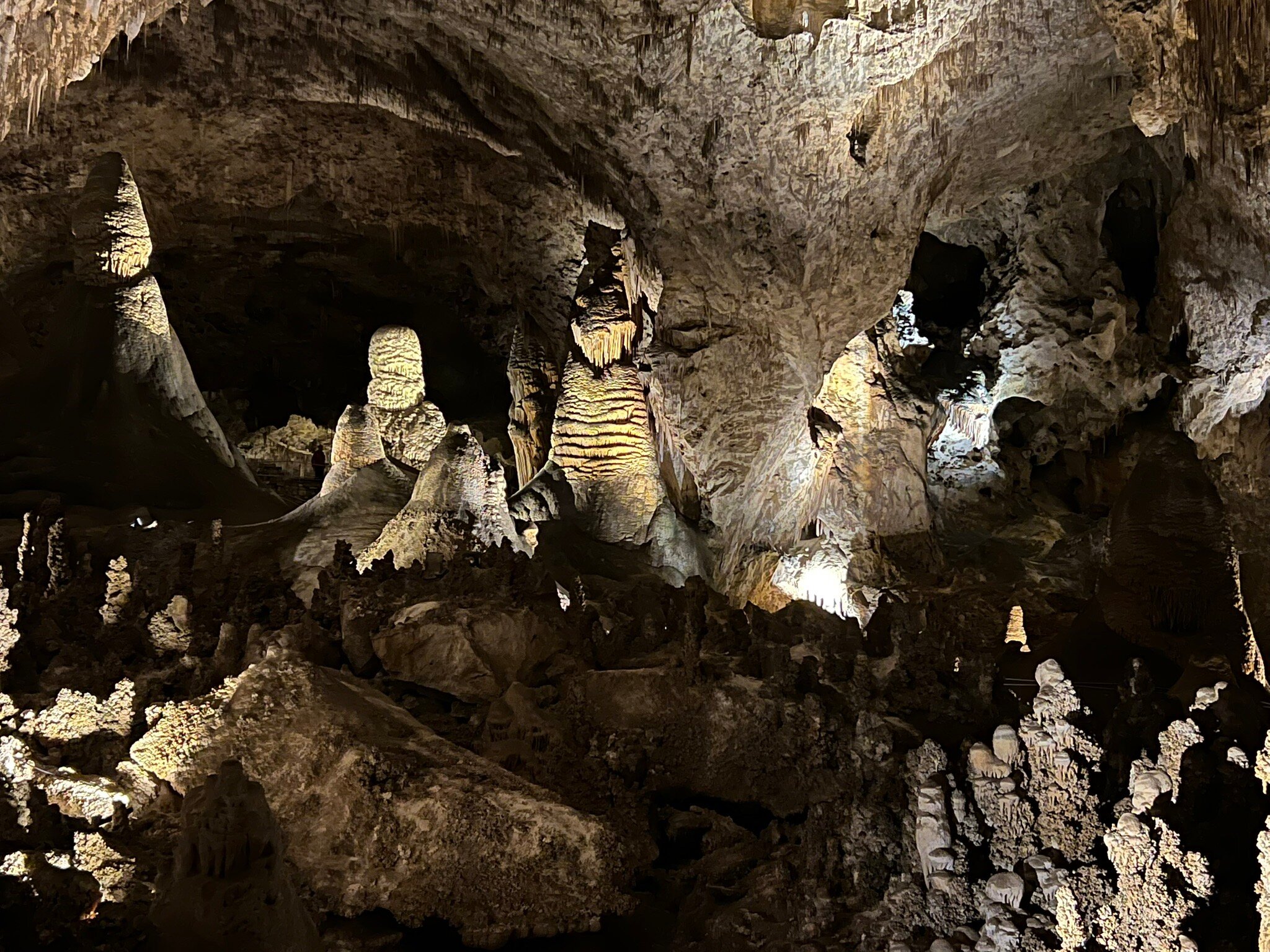 Carlsbad Caverns Natural Entrance Tour (Carlsbad Caverns Nationalpark ...