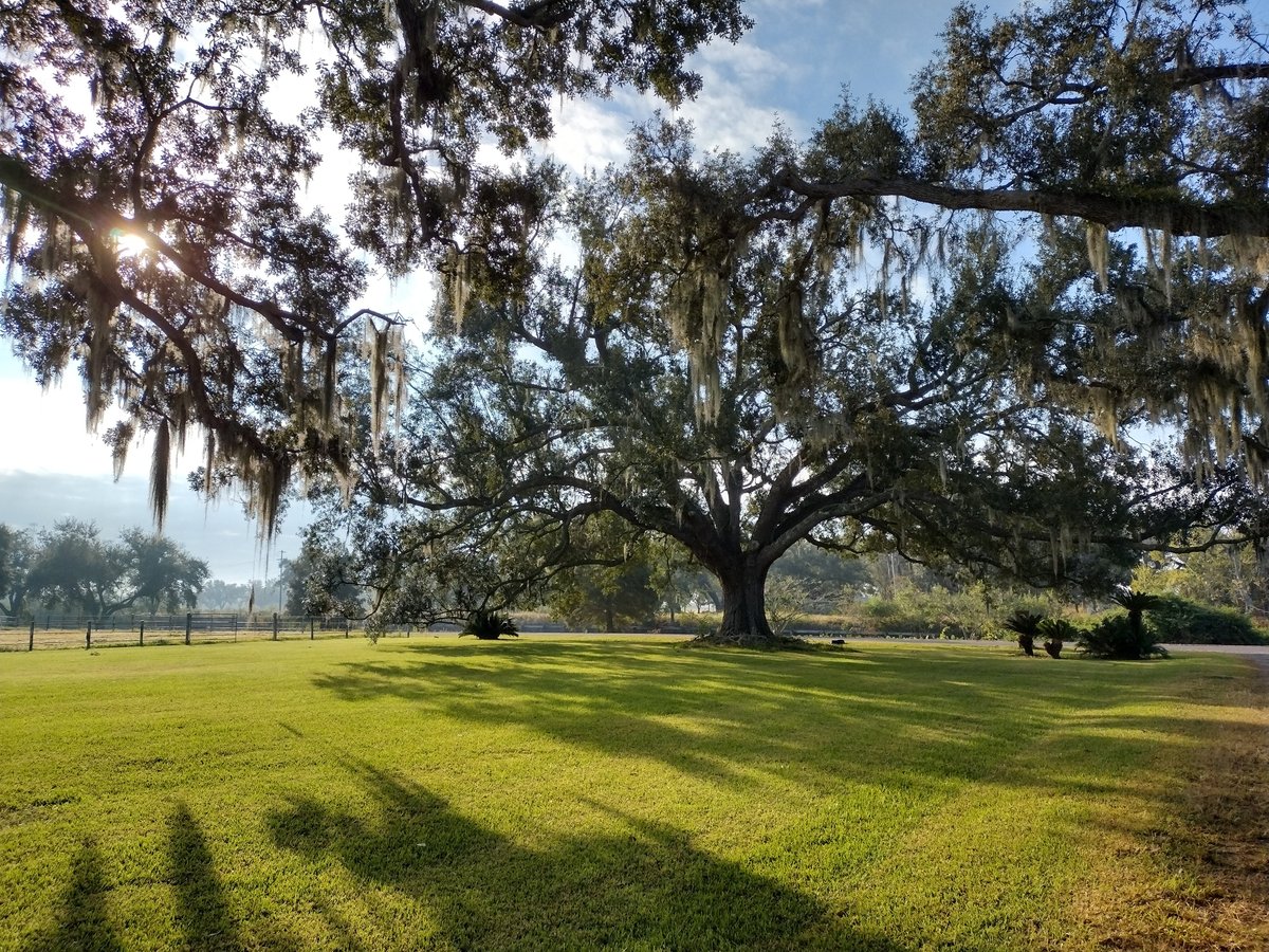 TWELVE OAKS PLANTATION B&B - Reviews (Houma, LA)