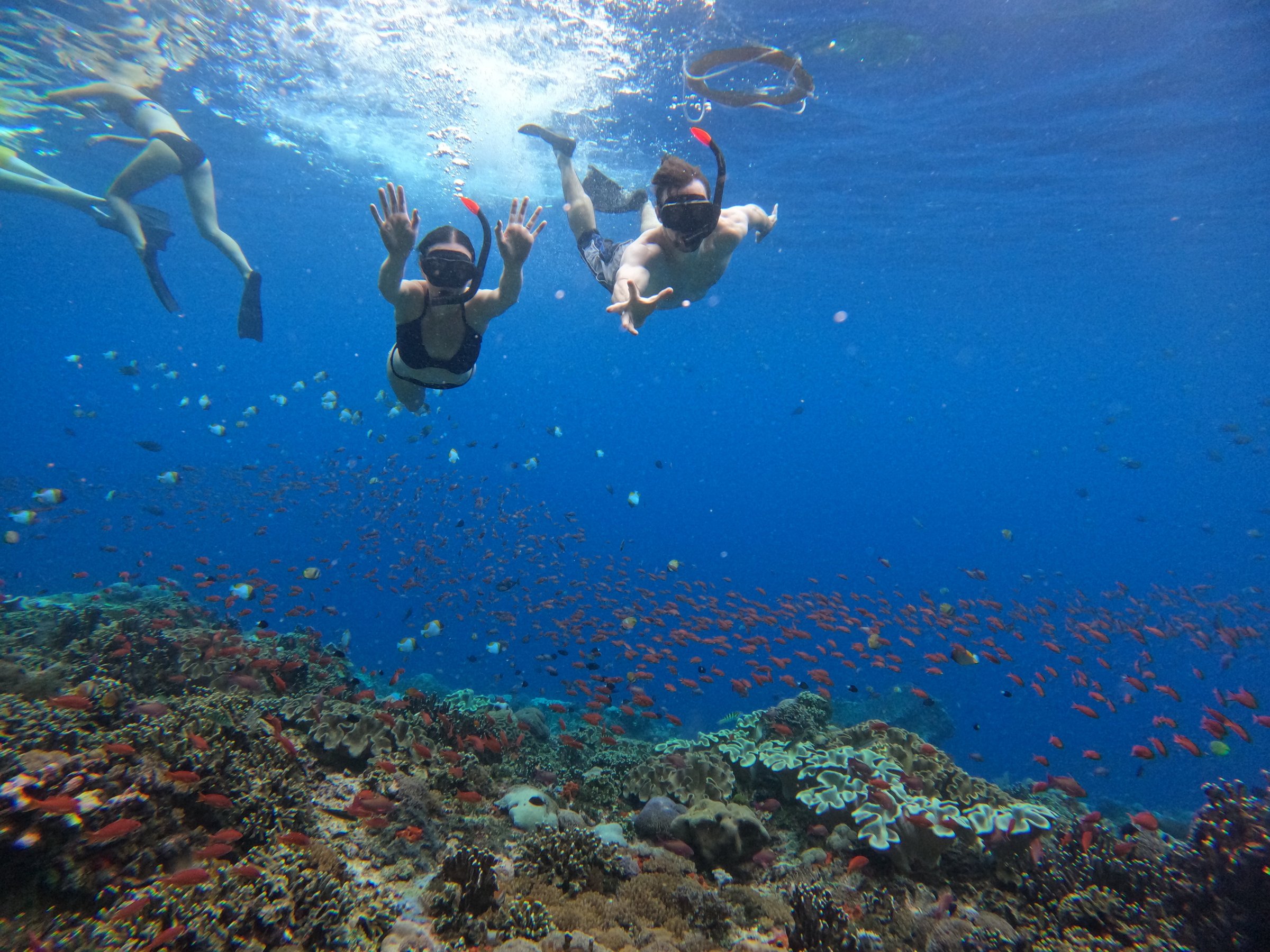 Lembongan Snorkeling Trips (Nusa Lembongan): All You Need to Know