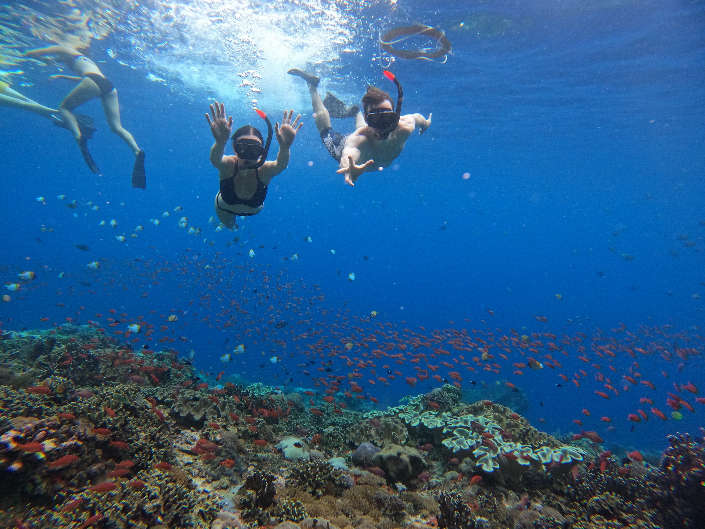 lembongan snorkeling trips review