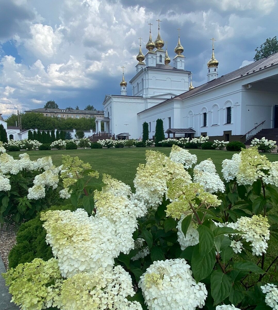 Успенский собор в Смоленске сирень