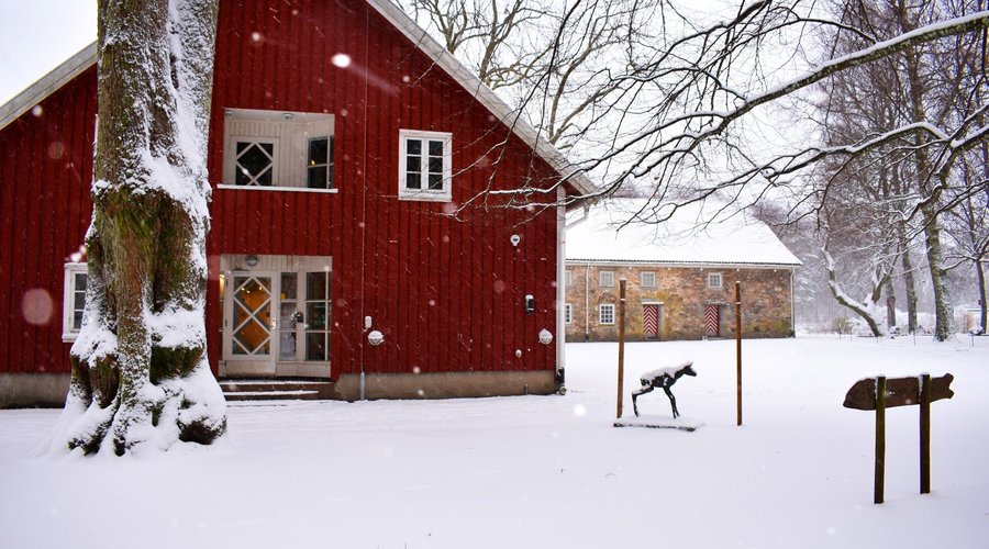 Vinter i botanisk hage
