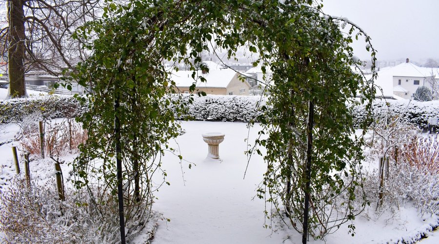 Vinter i botanisk hage