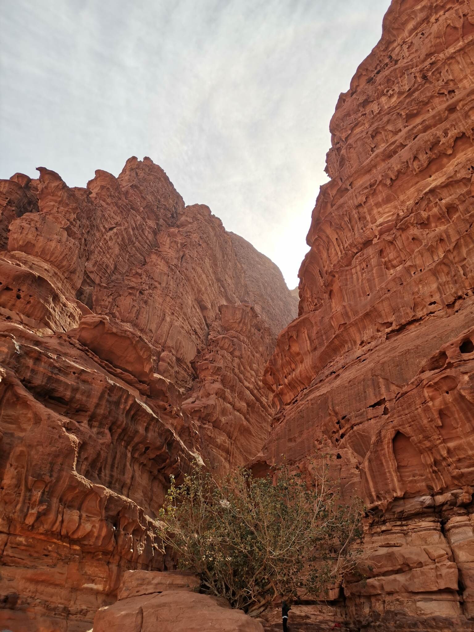 Tours Of Wadirum (Wadi Rum Village) - 2022 Alles Wat U Moet Weten ...