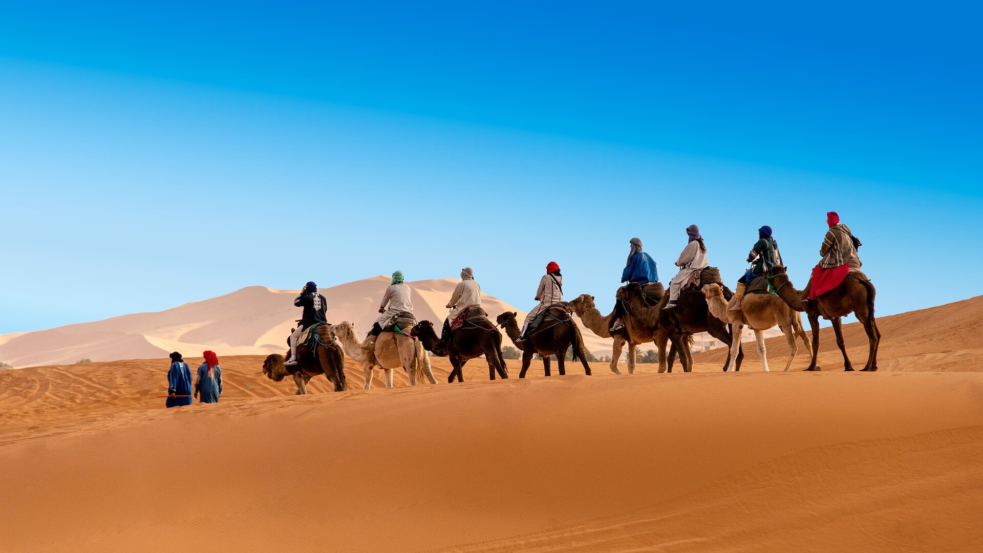 Morocco Camel Trekking - All You Need To Know BEFORE You Go (2024)