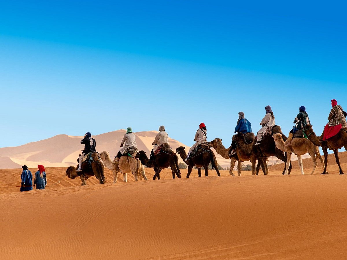 MOROCCO CAMEL TREKKING (Marrakech)