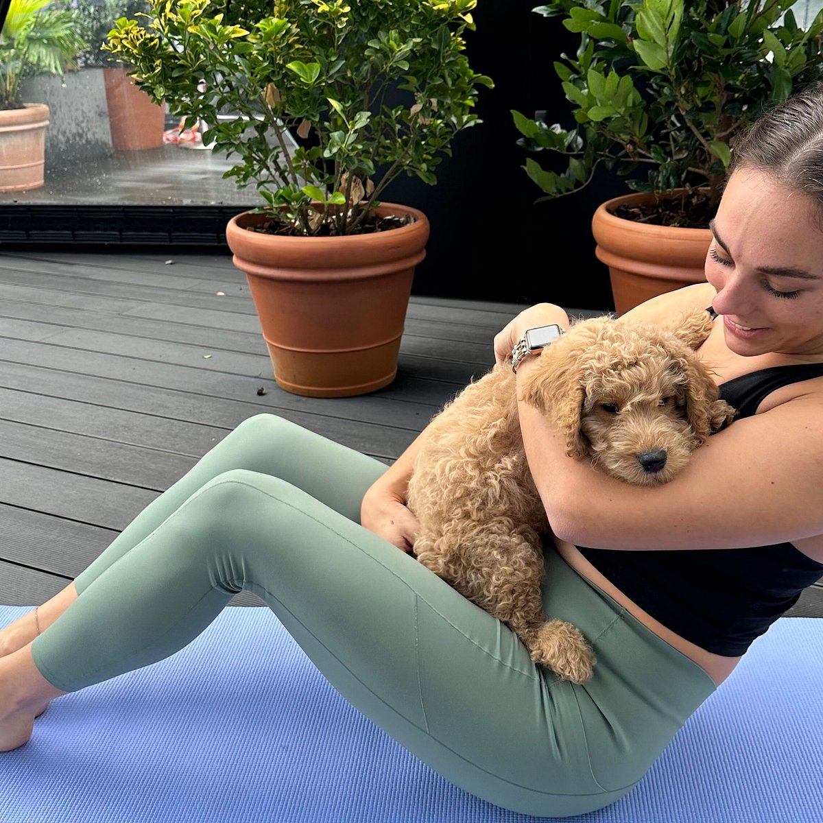 MANCHESTER PUPPY YOGA - PAWS YOGA: All You Need to Know BEFORE You
