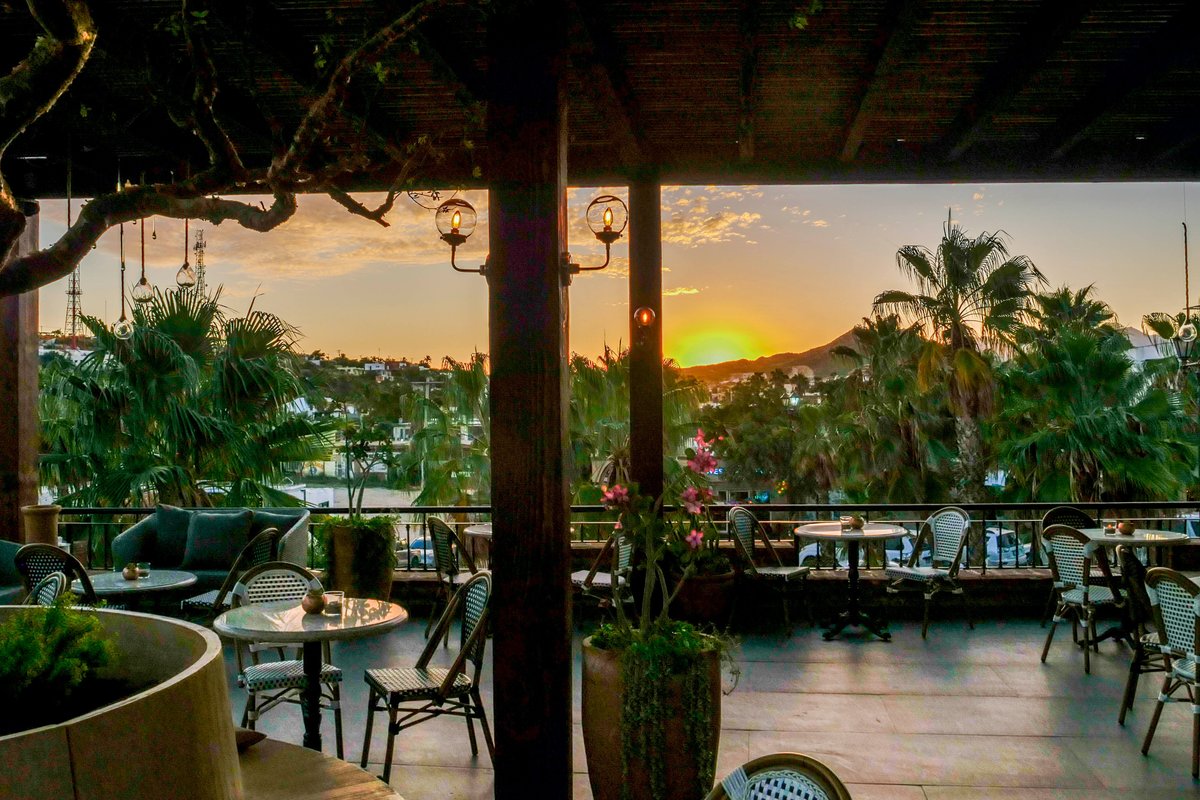 THE 10 BEST Restaurants in San Jose del Cabo - December 2024