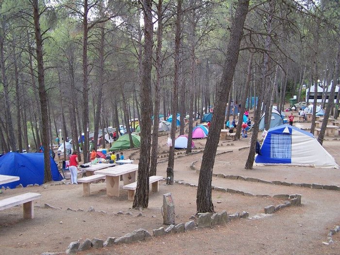 Imagen 9 de Camping Parque Ardales