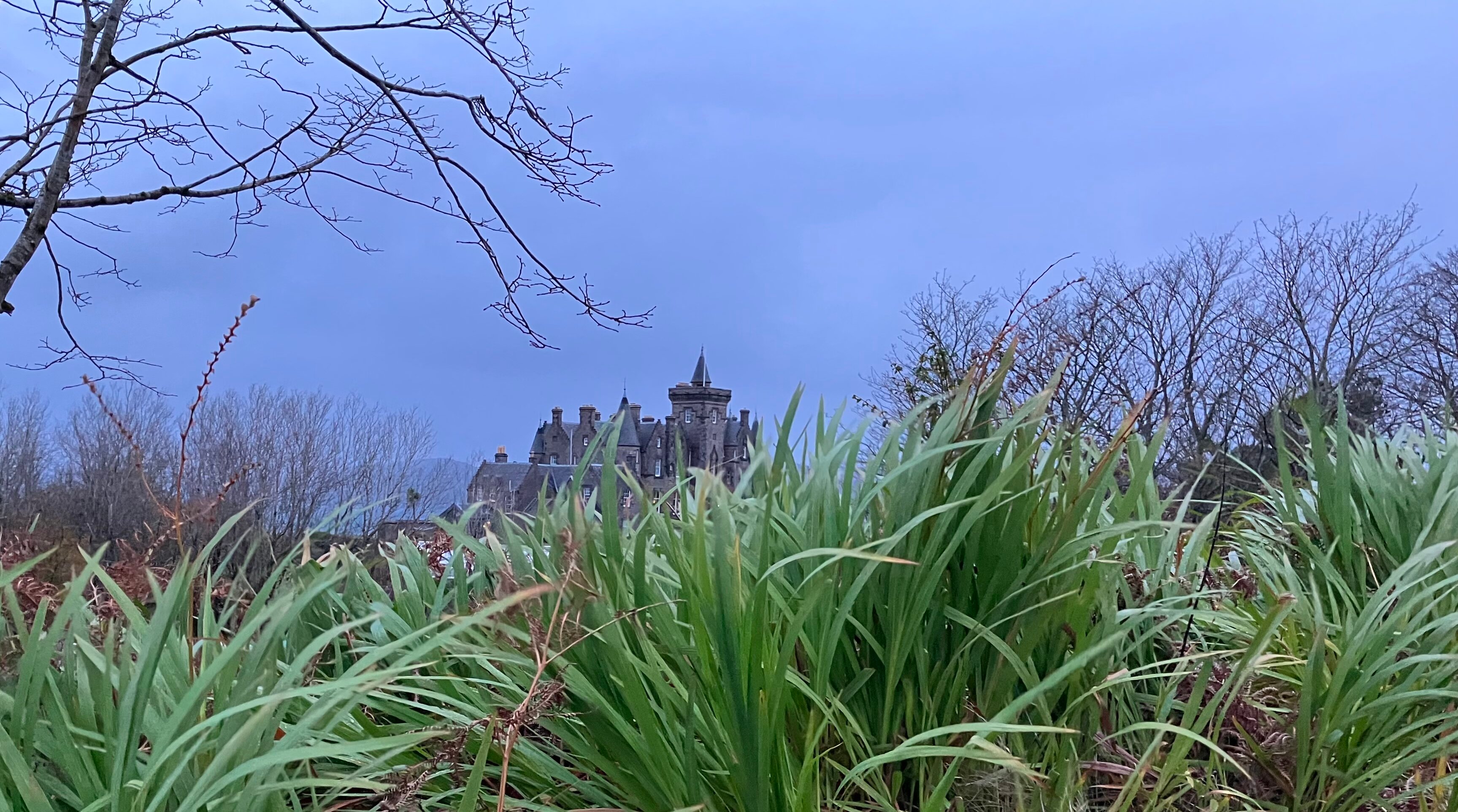 GLENGORM CASTLE - Updated 2024 Prices & B&B Reviews (Tobermory, Scotland)