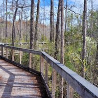 Conservation Park (Panama City Beach) - All You Need to Know BEFORE You Go