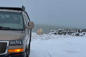 Traveller