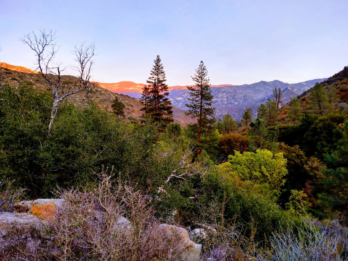 QUIET MIND MOUNTAIN LODGE AND RETREAT SEQUOIAS - Updated 2024 Prices ...