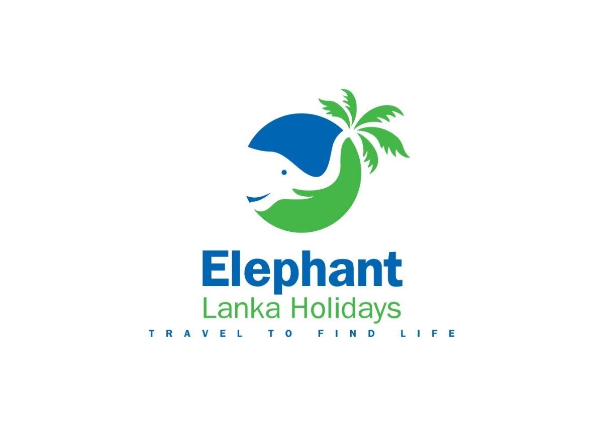 Elephant Lanka Holidays - All You Need to Know BEFORE You Go (2024)