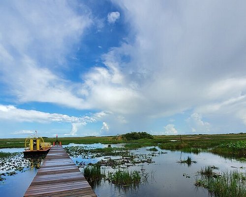 tours from miami to everglades national park