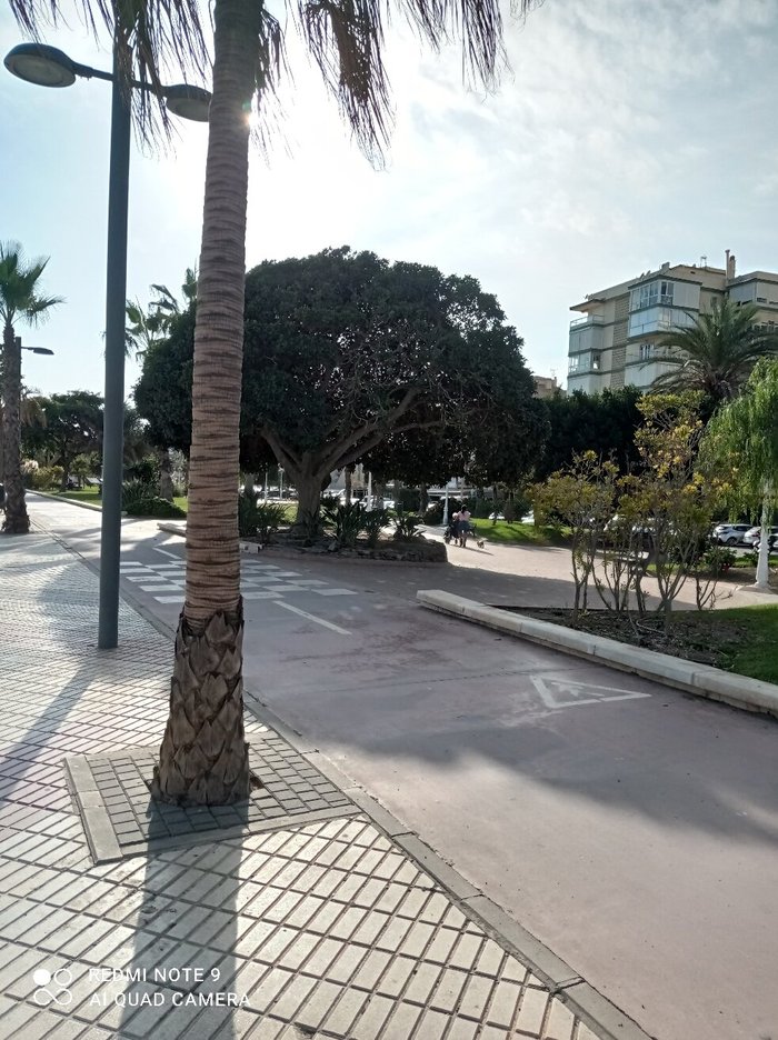 Imagen 14 de Torre Del Mar