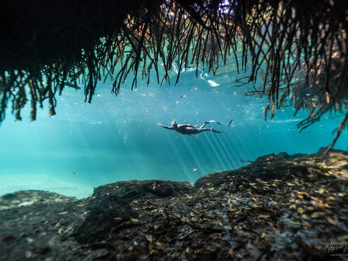 freediving tulum