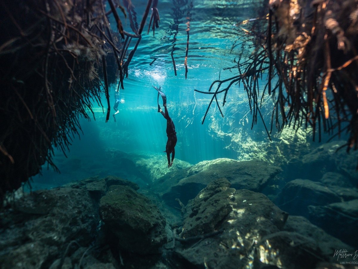 freediving tulum