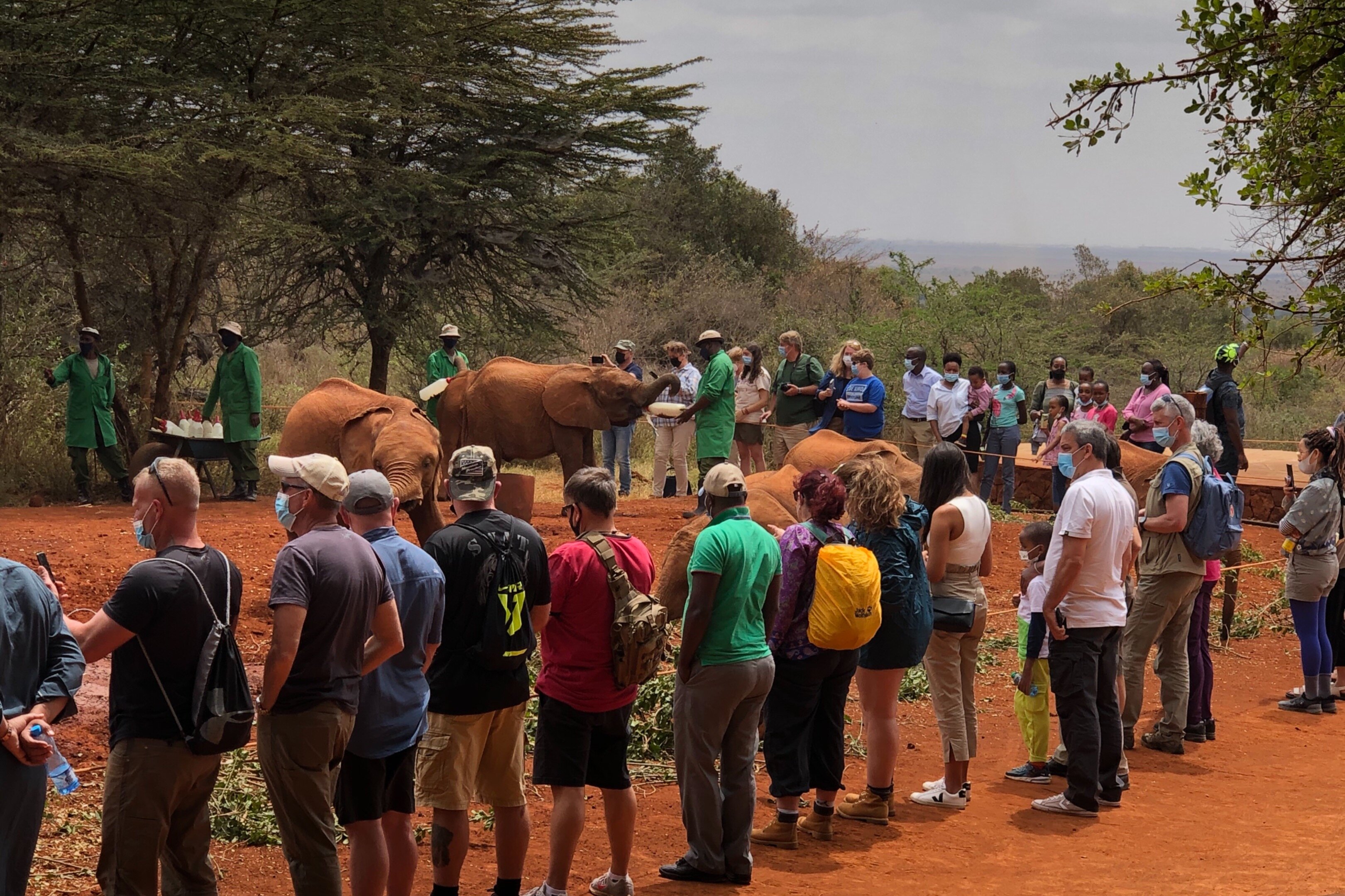 Nairobi Tour Lohnt Es Sich Aktuell F R 2024 Mit Fotos   Caption 