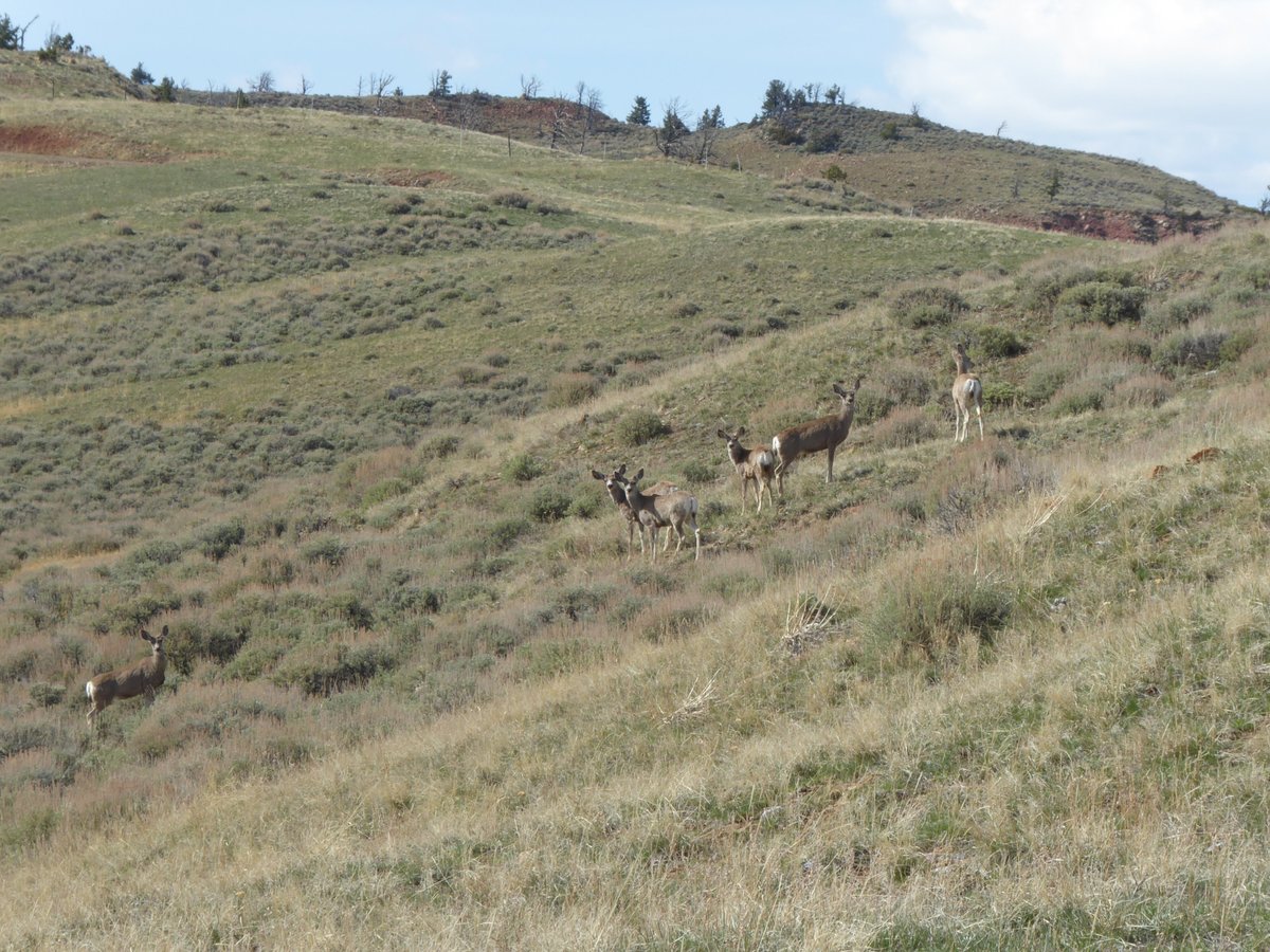 Kirwin Ghost Town Adventures (Meeteetse, WY): Hours, Address - Tripadvisor