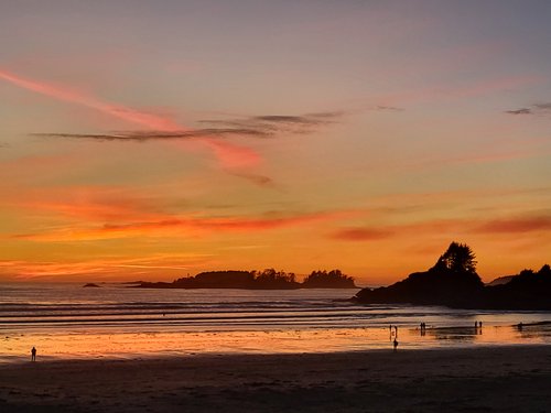 Long Beach Lodge Resort - UPDATED 2023 Prices, Reviews & Photos (Tofino ...